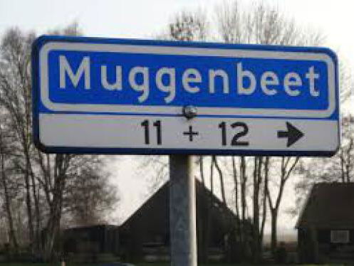 Burgemeester Bats over Muggenbeet en Witte Paarden