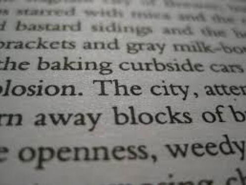 Woord van het jaar Ton den Boon