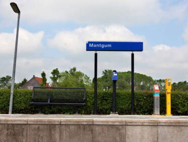 Mantgum in actie tegen lichtvervuiling