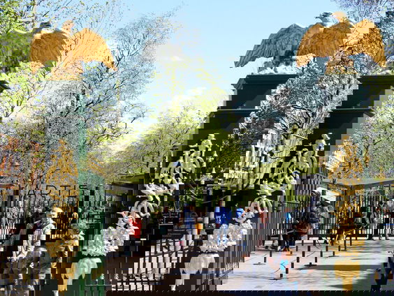 Job van Tol over zijn boek 'De Oppasser', over zijn tijd als verzorger bij dierentuin Artis