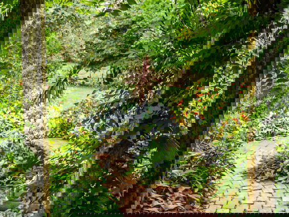 Op tuinsafari met Katja Staring