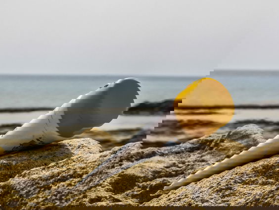 Koelkastcoach Sabine Leijten over het eten waardoor je sneller bruin kunt worden