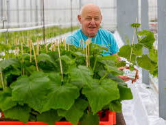 De 72-jarige Cor Batterink werkt in de kas van zijn buren en doneert zijn loon aan Stichting ALS!