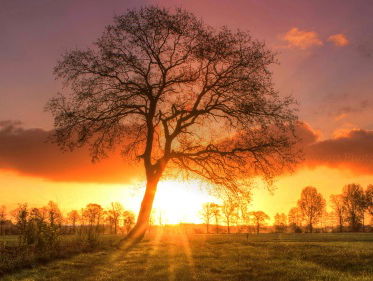 Nicky Wagenvoort weerfoto van 2017