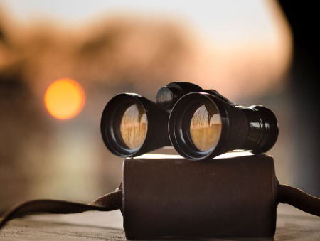 Het gaat niet goed met de buxusmot