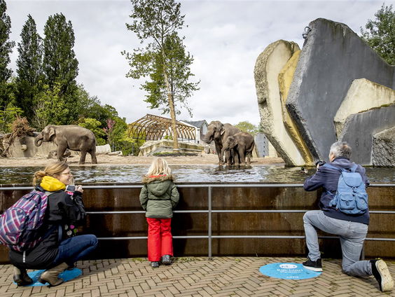 Artis gaat weer open: We vroegen de dieren om een reactie