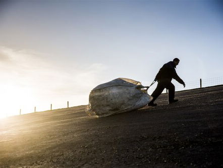 Medewerkers Zeehondencentrum Pieterburen ruimen de zooi van de containers op