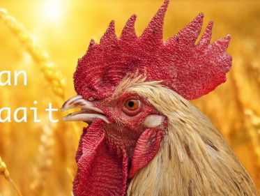 't Was me het weekje wel