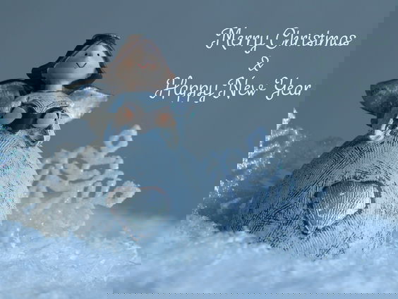 Grote Kerstkaartenactie Ouderenfonds