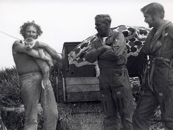 Onbeperkt films kijken op een onbewoond eiland