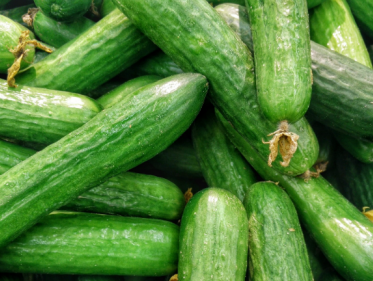 Komkommer is een allemansvriendje