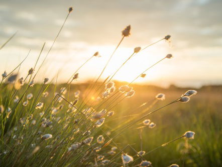 Lisa Boray levert haar laatste schijf van 5 af