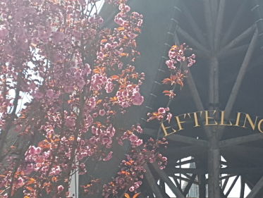 Efteling huiscomponist René Merkelbach opent zijn studio