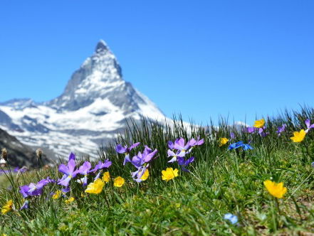 Silvia woont in Zwitserland