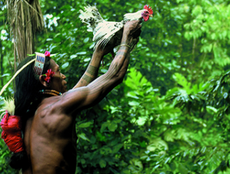 Tentoonstelling Mentawai: 'Alles heeft een ziel'