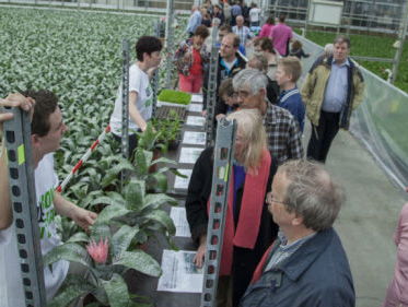 Een kijkje in de kas