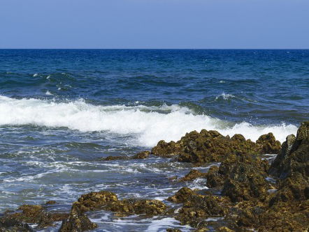 Dutch Atlantic Four op kop in roeirace over Atlantische Oceaan