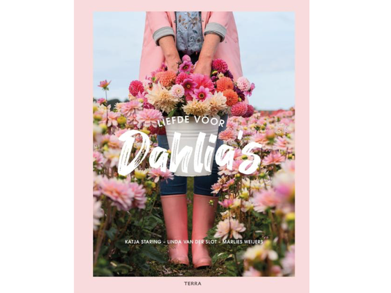 Op tuinsafari met Katja Staring: de dahlia