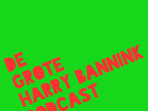 Holkje van der Veer over de Grote Harry Bannink Podcast