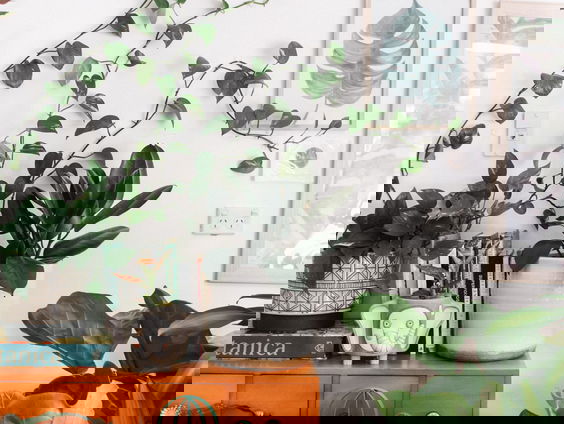 HZD: Hebben planten gevoel?