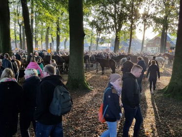 Gezellige drukte op de Zuidlaardermarkt