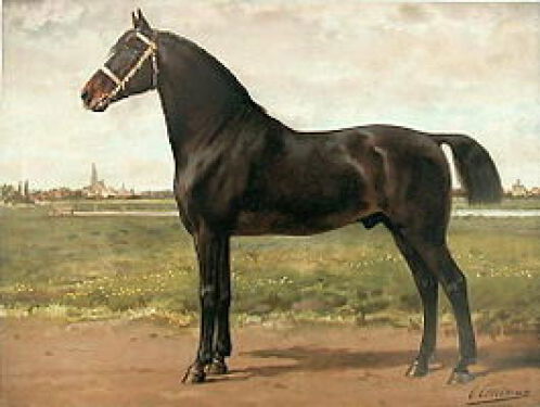 Hop mar myn swarte - Samar