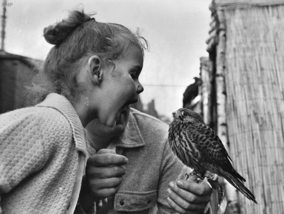 Zomerse Theatertrip 1983: Avifauna