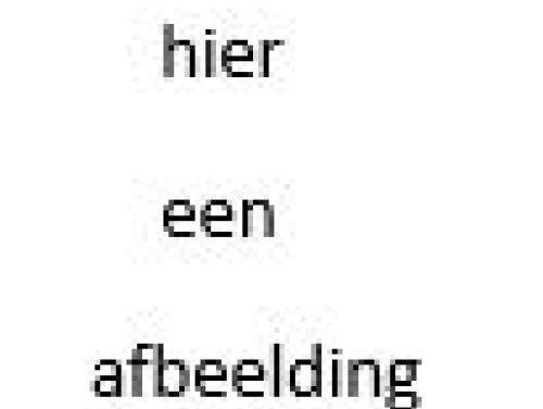 Wat Een Vak: Archivaris