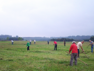 Flevolanders laten de maaimachine in de schuur staan