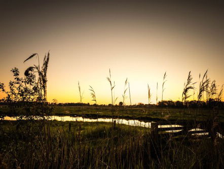 Natuurlijke verandering door Corona