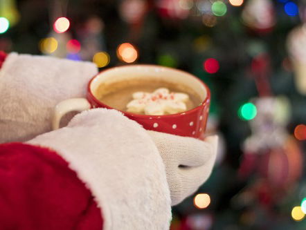 De natuur in: wasbeer rukt op in Nederland