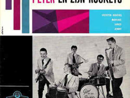 Veertig rovers - Peter Koelewijn