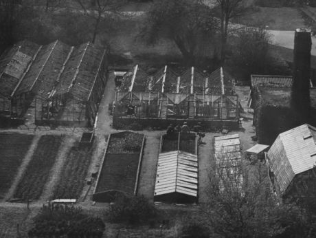 Chinese Kool in 1981?