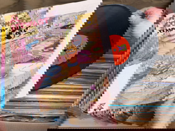 Liefde voor Muziek/Plaatwaarde: Year Of The Cat van Al Stewart