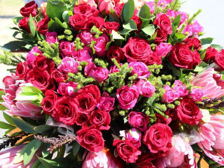 Bloemen voor Moederdag: bloemenveiling Aalsmeer