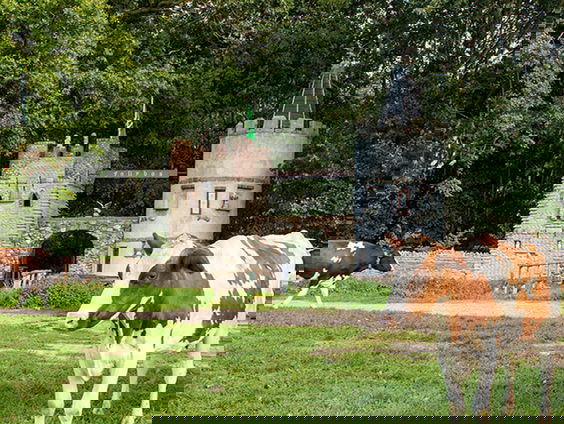 Dwaze bouwwerken zonder duidelijke functie. Andrea houdt er van!