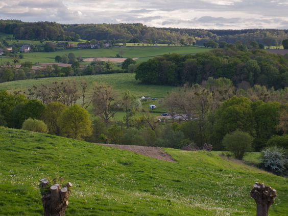 Trots van Limburg: het dialect
