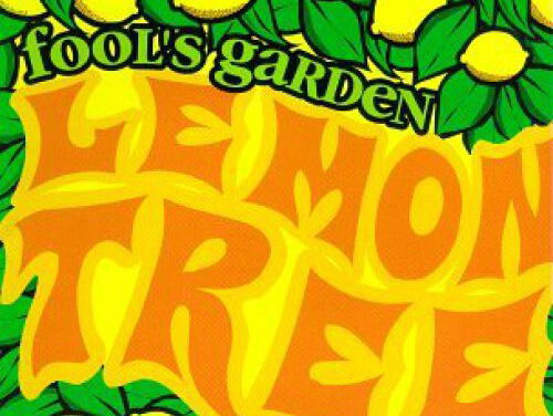 Lemon tree - Fool's Garden