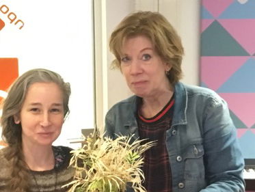 4 van 5: Over het plantje van Petra