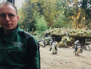 Unieke pinguins in Amersfoort