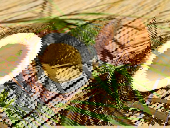 Van kokosnoot naar boeman