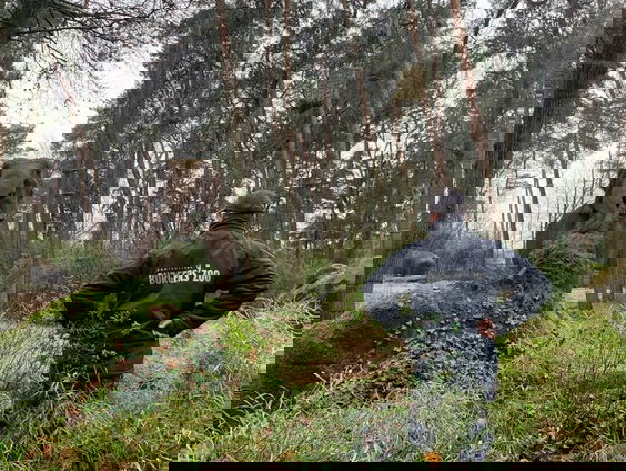 Dieren Burgers' Zoo genieten van kerstbomen-diner