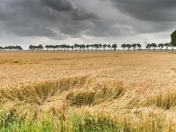 van ongekende schoonheid: Groninger platteland