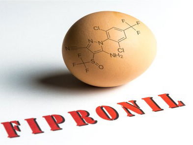 Fipronil rechtszaak vandaag van start