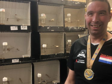 Rowdy's zebravinken zijn kampioensvogels
