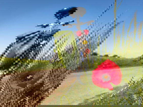 Ingmar fietst door alle Nederlandse gemeenten!