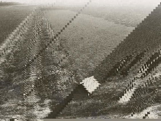 De dodendraad was voor even terug in Koewacht