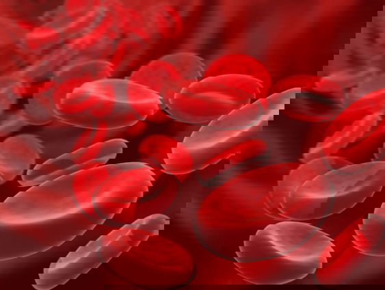 Waarom is ons bloed rood?