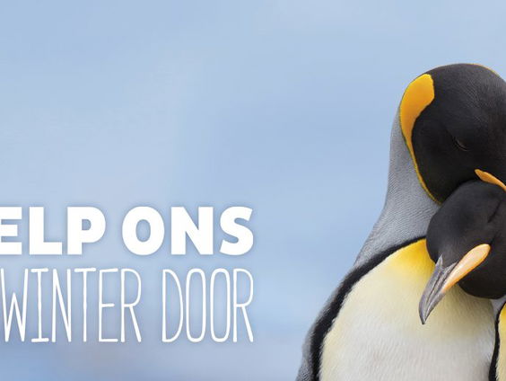 Patricia Paay probeert Diergaarde Blijdorp in Rotterdam te redden en jij kunt meehelpen!