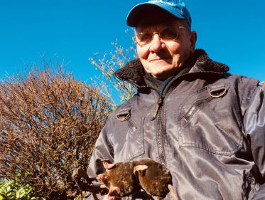 Een mol komt altijd terug